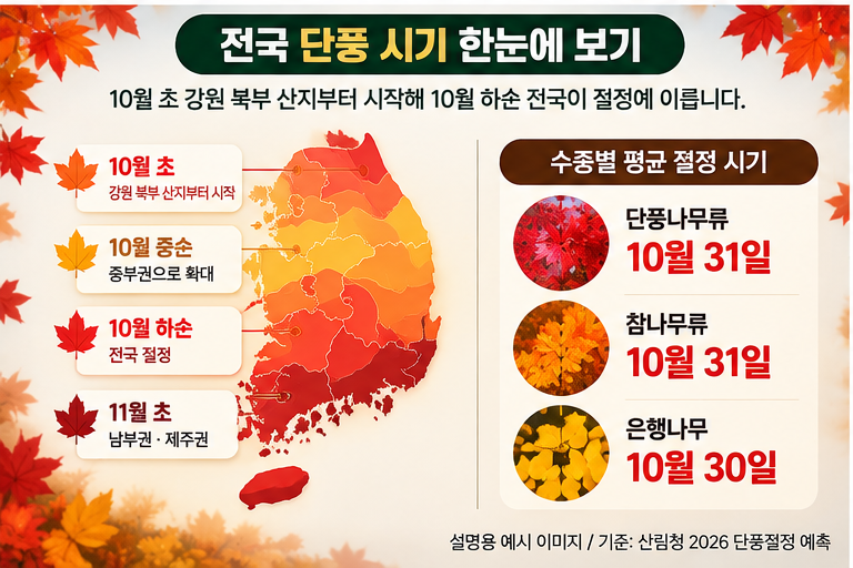 2026 전국 단풍 시기 강원 수도권 충청 전라 경상 제주